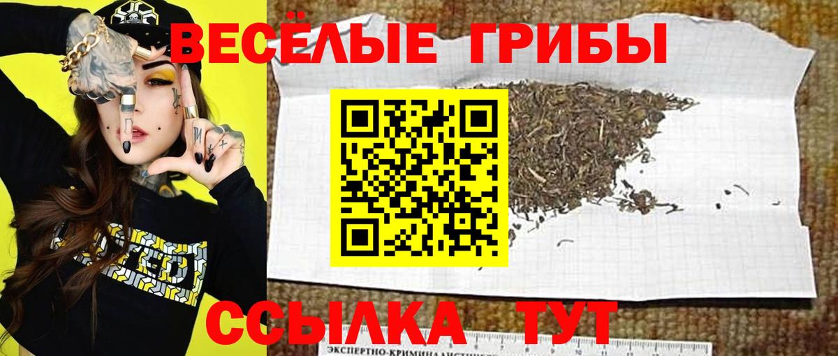 А ПВП СК кристаллы  Георгиевск  Гашиш  Где найти наркотики?  КОКАИН  МЕФ кристаллы  Вход с VPN  ГАШ  Конопля 